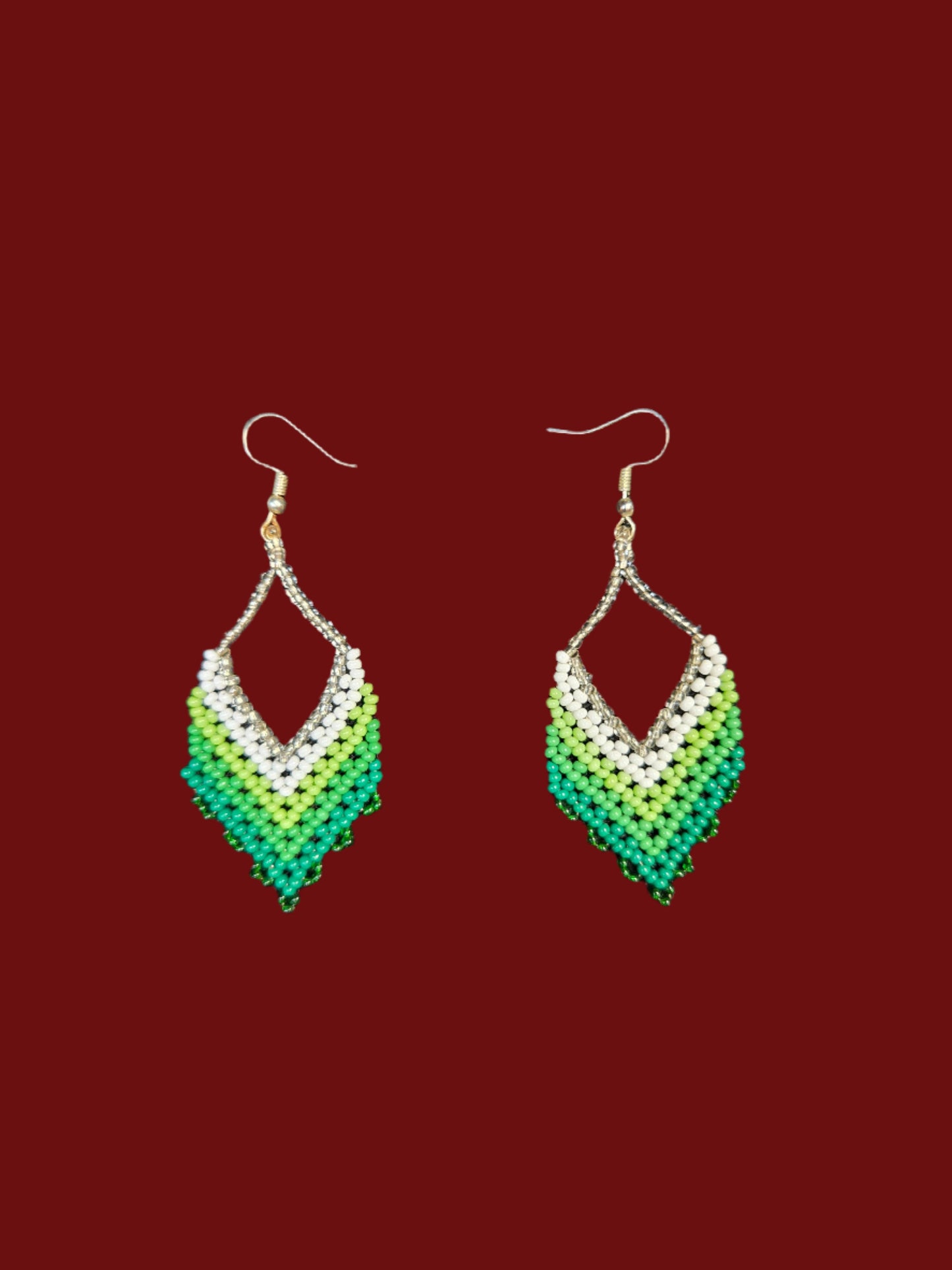Native earrings